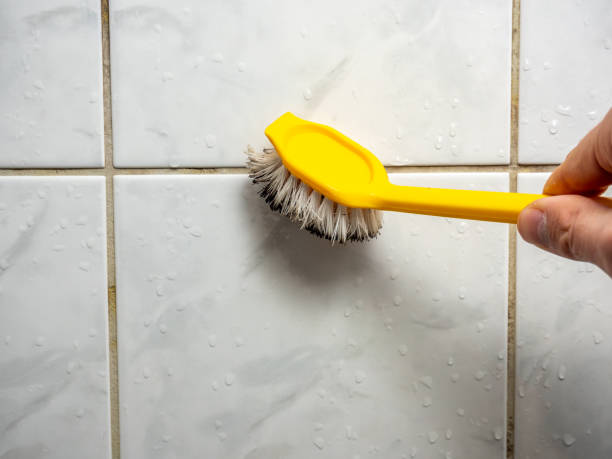 Office Mold Removal Services in Eddyville, IA