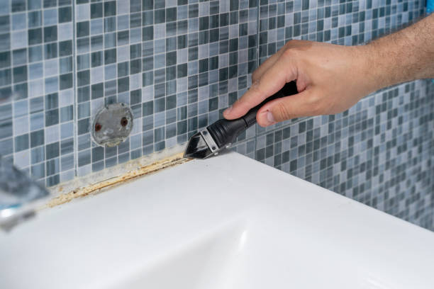 Best Emergency Mold Removal  in Eddyville, IA